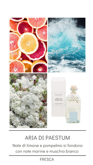 Aria di Paestum - Profumatore per ambiente 100 ml