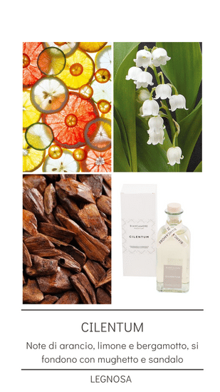 Cilentum - Profumatore per ambiente 500 ml
