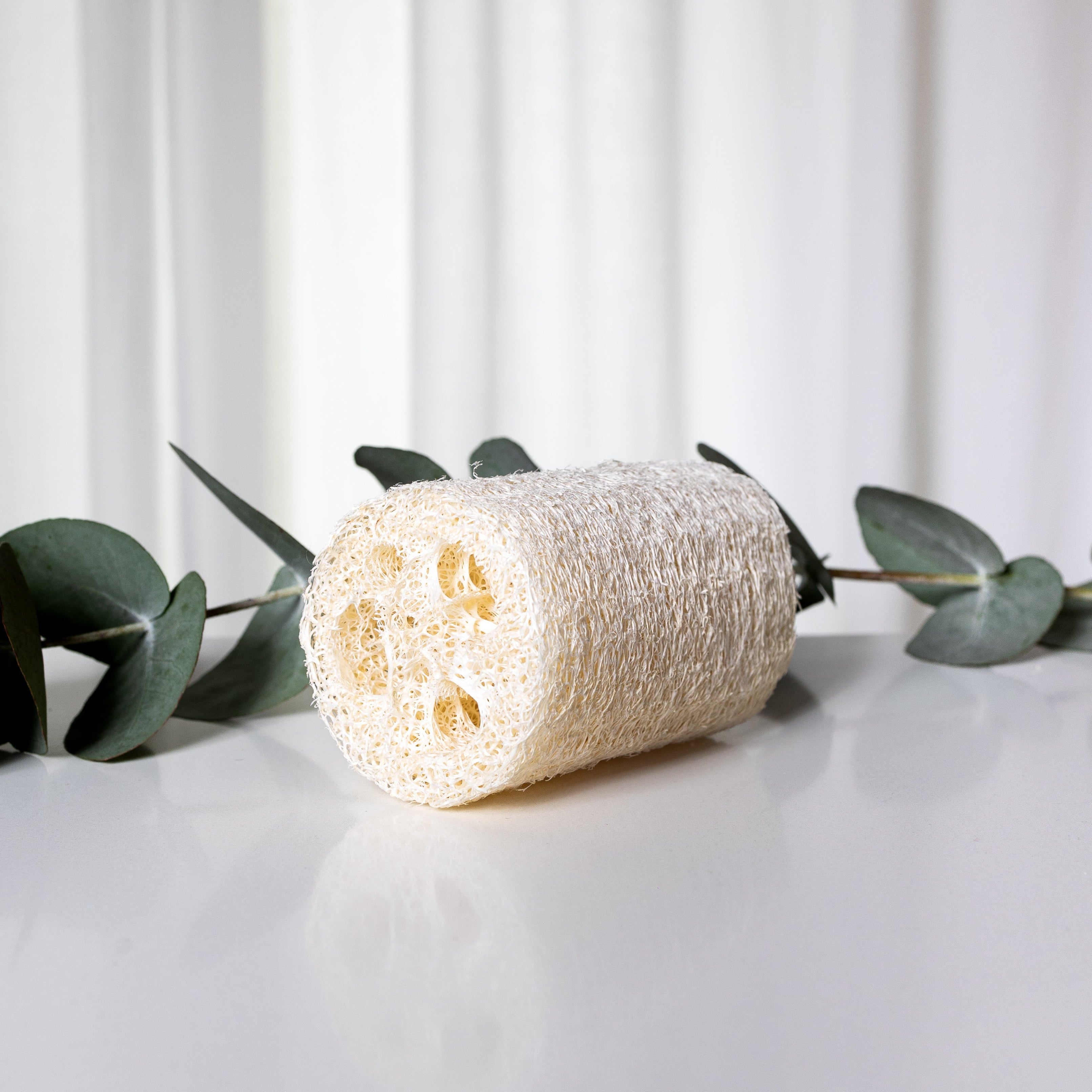 Spugna in Loofa